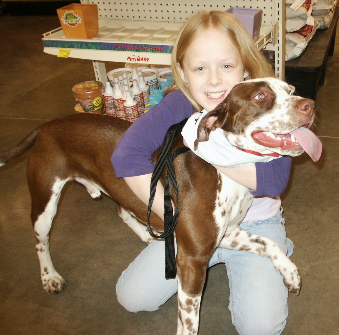 pitbull pointer mix